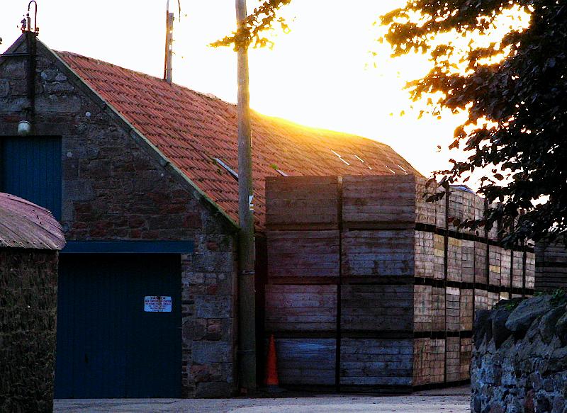 Knowes Farm sheds.jpg